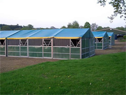 Cheval starbox temporary stables