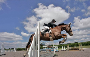 Horse jumping event at Beaver Hall
