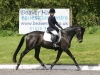 Dressage Dressage