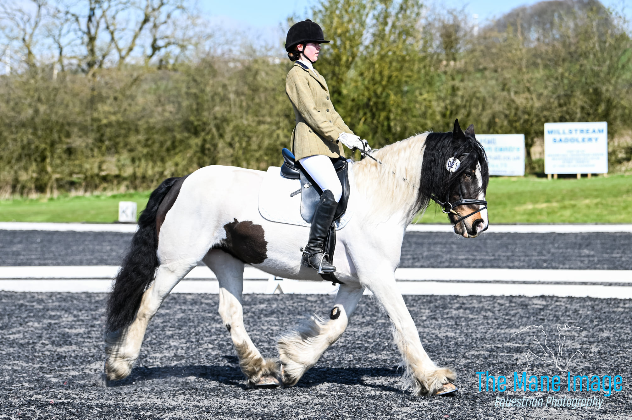Dressage 2023 Beaver Hall Equestrian Centre