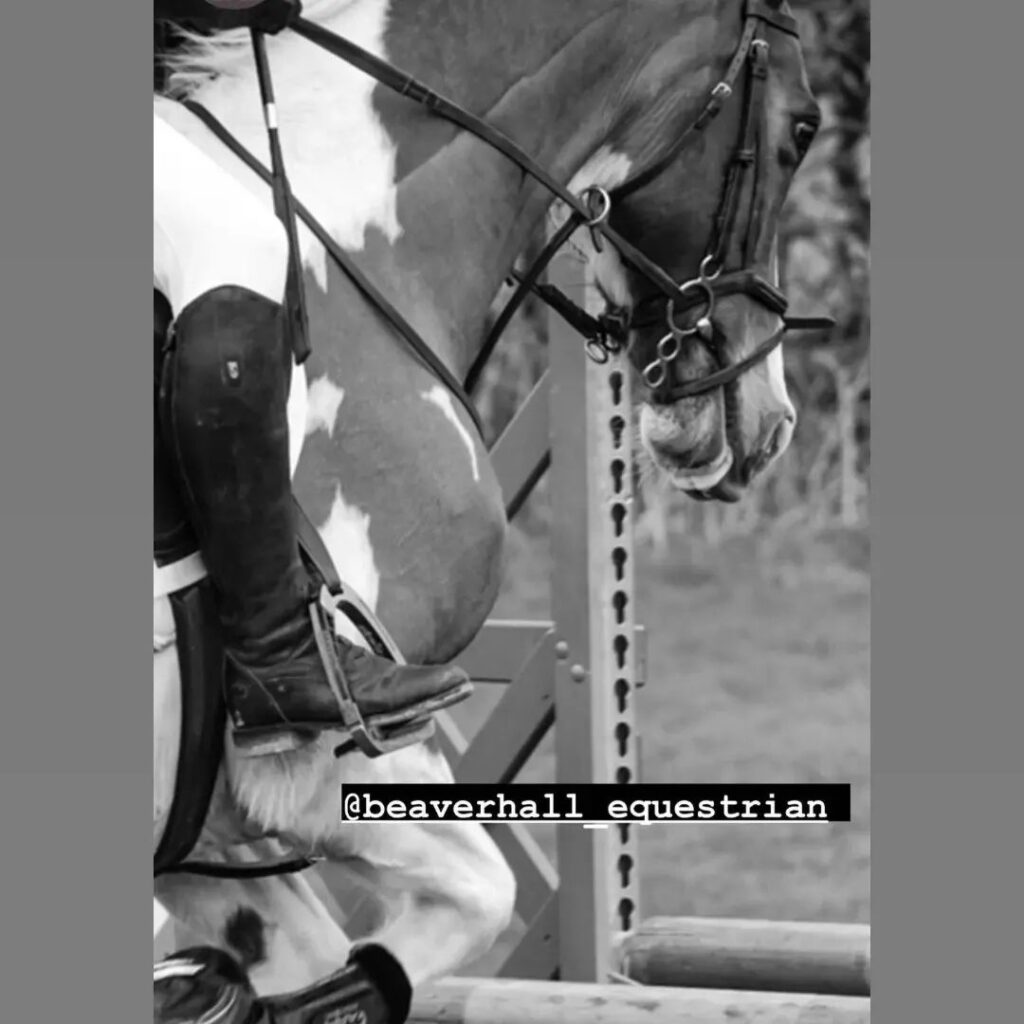 Beaver Hall Equestrian Centre