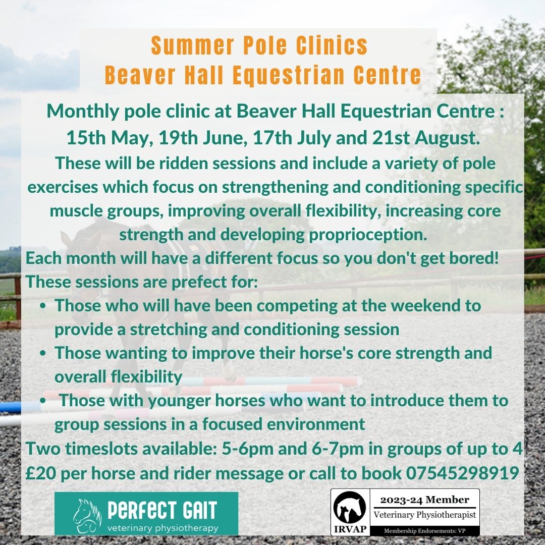 Evening Pole Work Clinic | Beaver Hall Equestrian Centre
