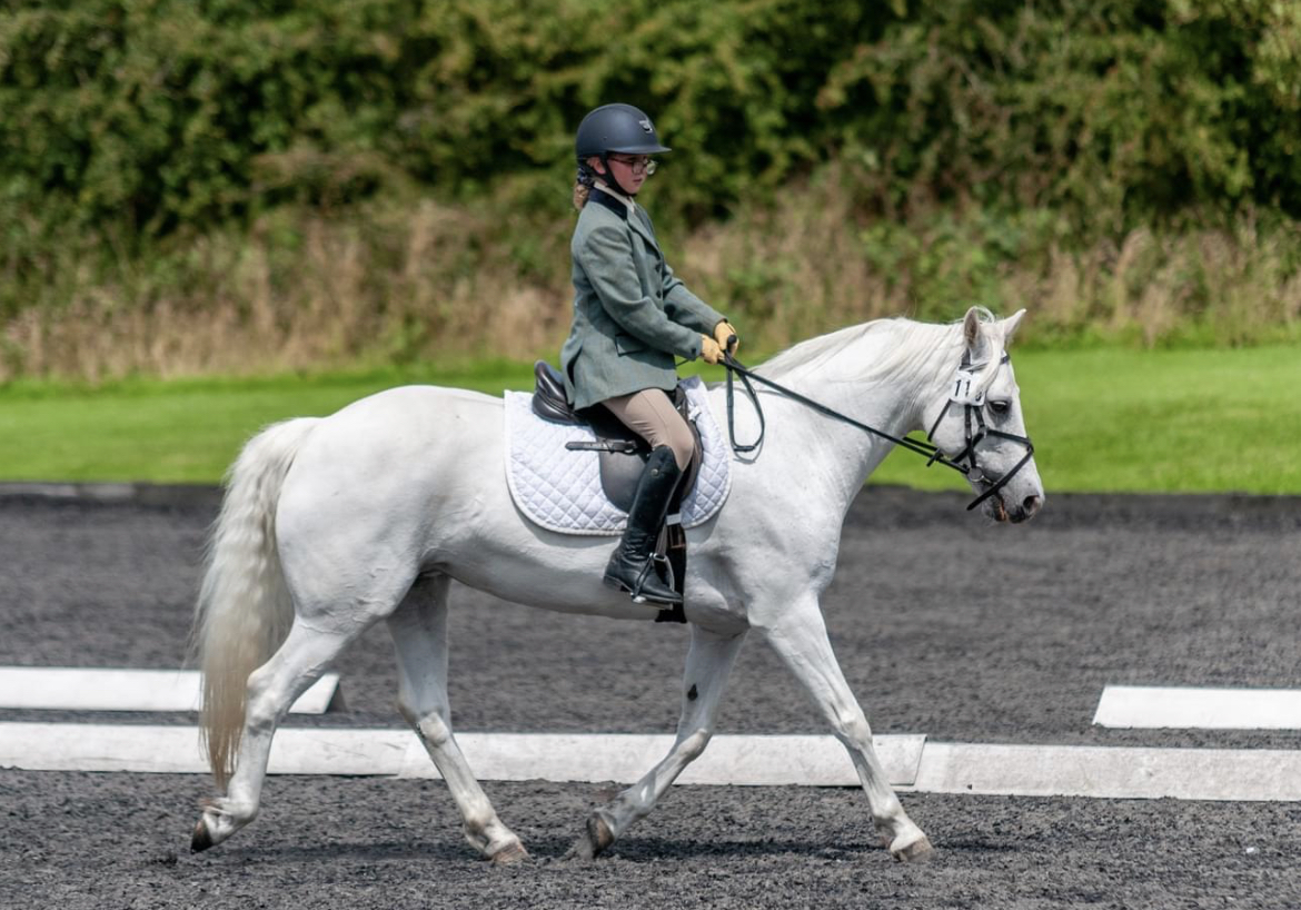 Dressage 2024 Beaver Hall Equestrian Centre