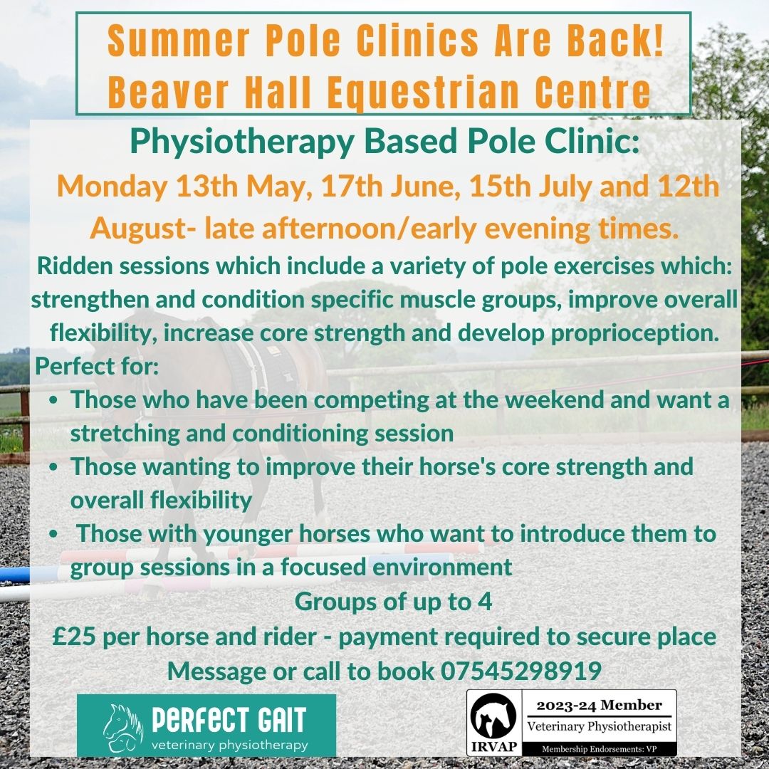 Pole Work Clinic | Beaver Hall Equestrian Centre